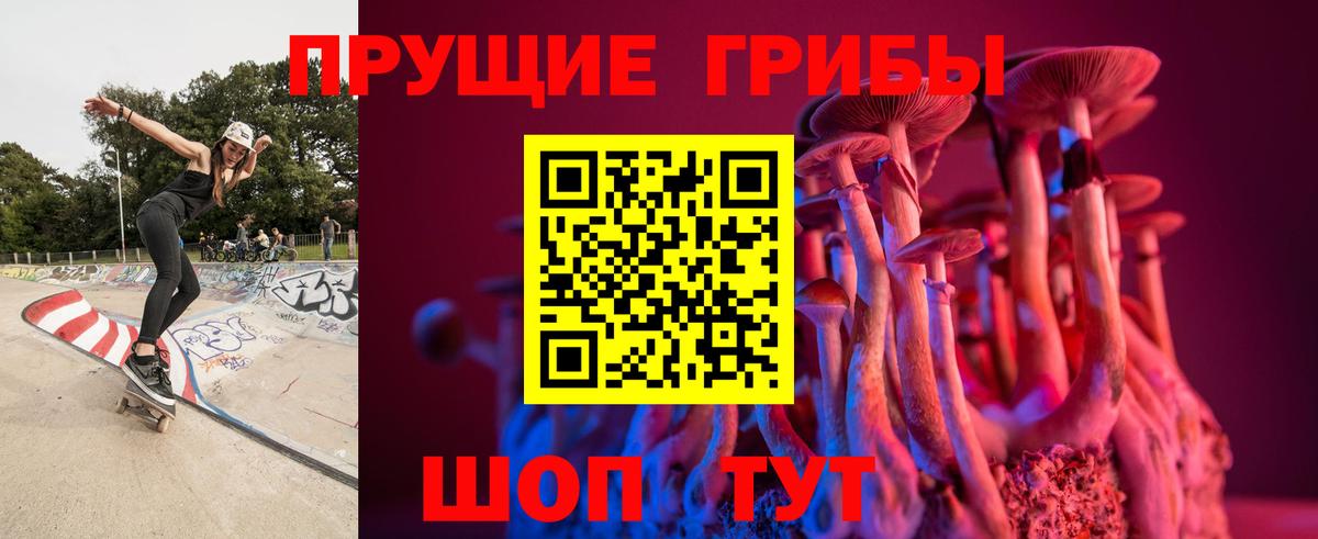 Псилоцибиновые грибы MAGIC MUSHROOMS  Вход с VPN  Карабулак 